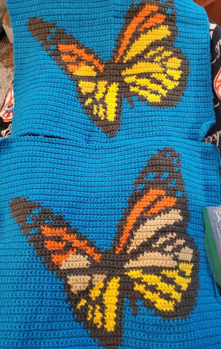 Butterfly Crochet Pillow Pattern