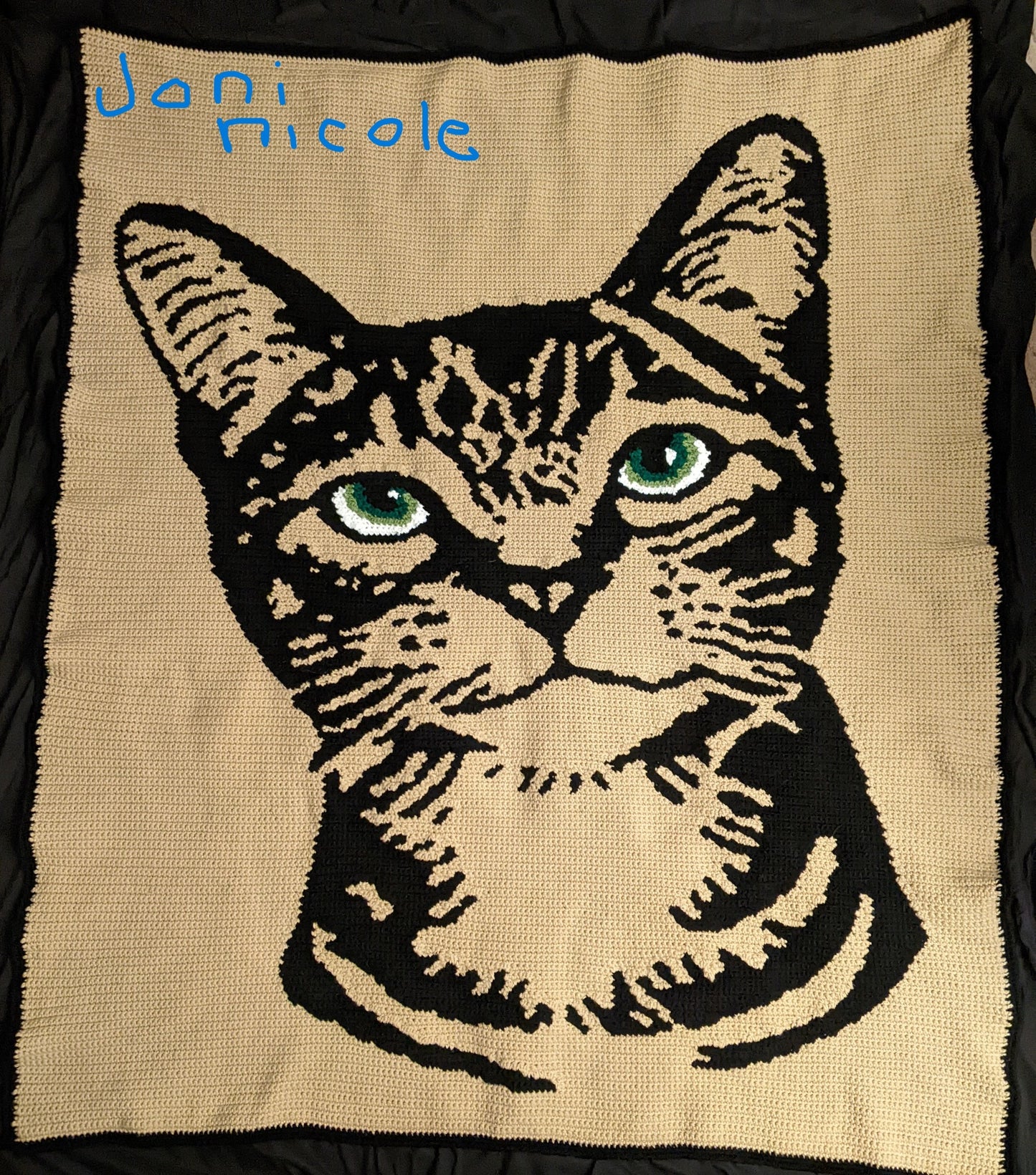 Black Kitty Crochet Graphghan Pattern